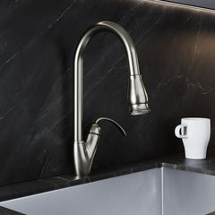 Single Handle Pull-Down Kitchen Faucet - 8002 011
