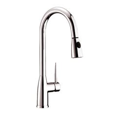 Single Handle Pull-Out Kitchen Faucet - 8002 005 02