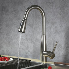 Single Handle Pull-Out Kitchen Faucet - 8002 005 02