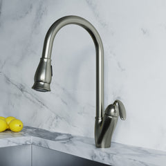 Single Handle Pull-Down Kitchen Faucet - 8002 011