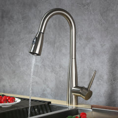 Single Handle Pull-Out Kitchen Faucet - 8002 005 02