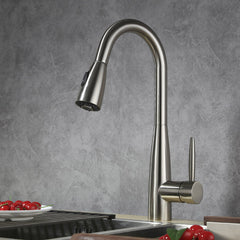 Single Handle Pull-Out Kitchen Faucet - 8002 005 02